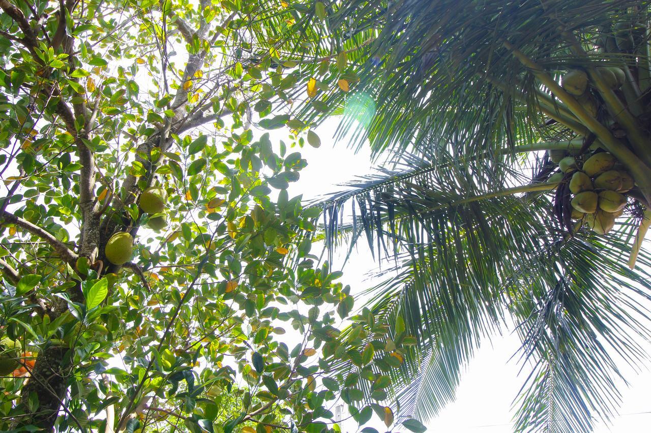 Dedunu Home Bentota Exterior foto